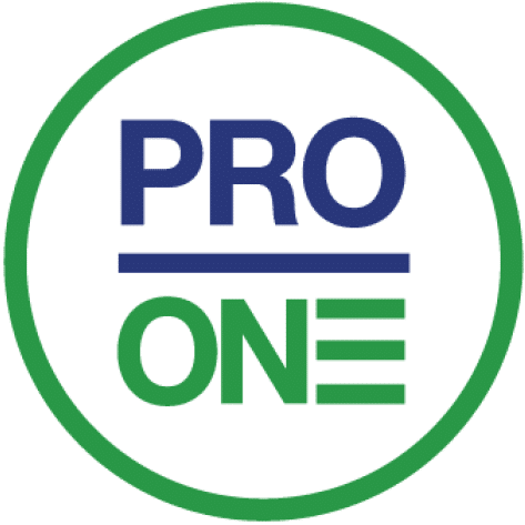 ProOne logo