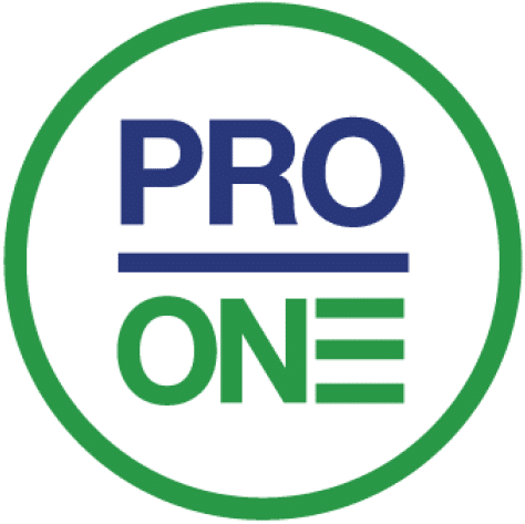 ProOne logo