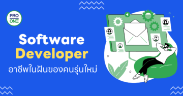 Software Developer