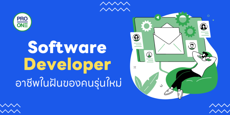 Software Developer