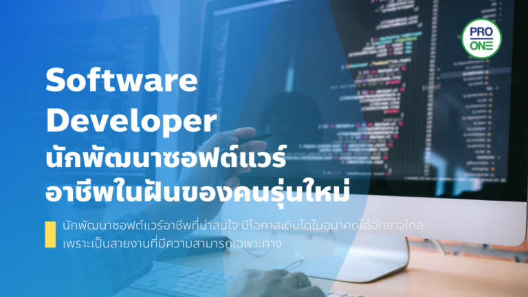 Software Developer