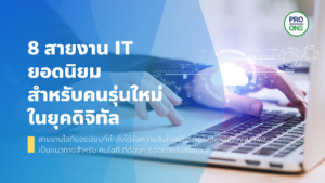 สายงาน IT