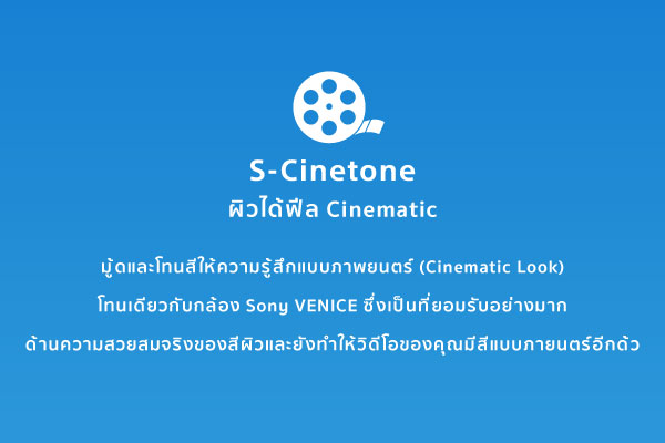 13-MicroSite