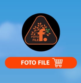 Fotofile-Store